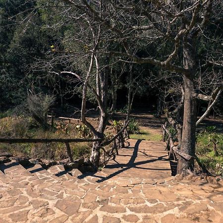 Anew Resort Ingeli Forest Kokstad Kokstad  Exterior foto
